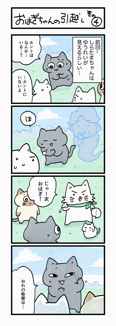 猫のおふくちゃん│猫ブログ│フェリシモ猫部